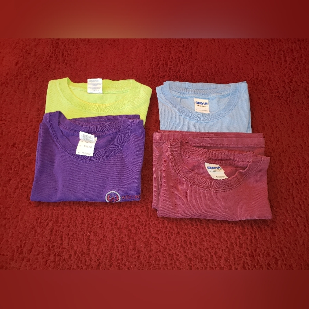 Bundle of 4 Ultra Cotton Tshirts